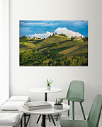 Obraz Francúzske vinohrady 